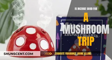 Incense and Magic Mushrooms: Enhancing Your Psychedelic Experience