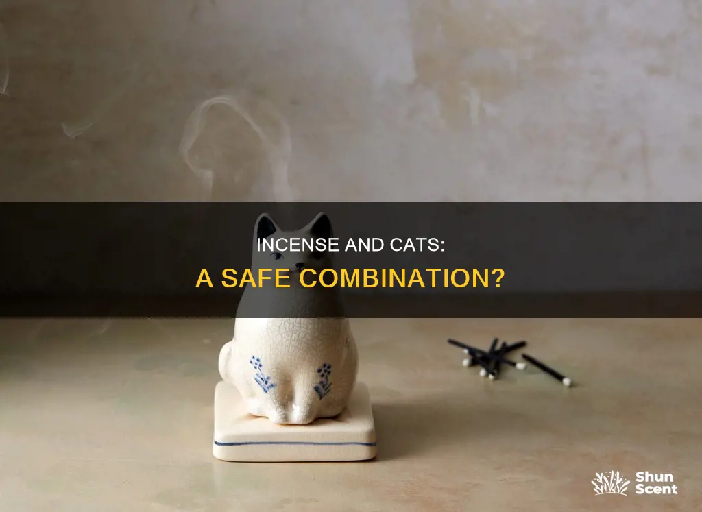 is incense good for cats