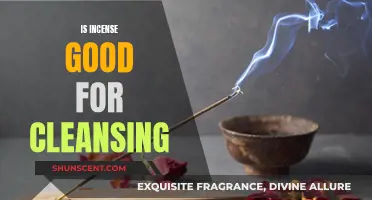 Incense Cleansing: Benefits and Uses for a Calm Space