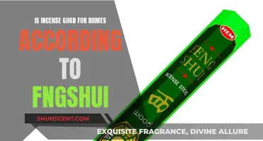 Incense and Good Feng Shui: Enhancing Your Home