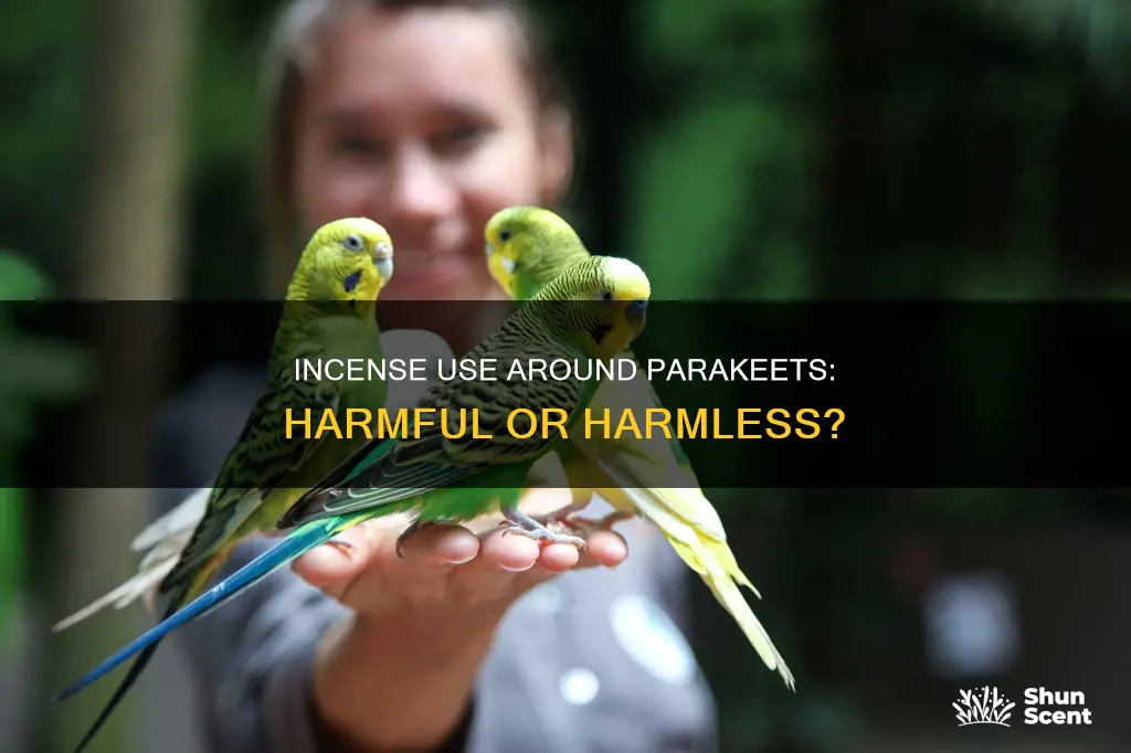 is incense harmful to parakeets