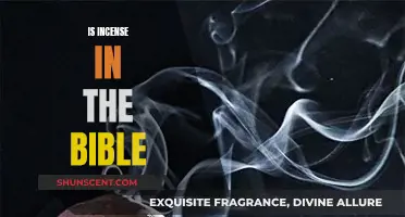 Incense in the Bible: Ancient Rituals and Their Meanings