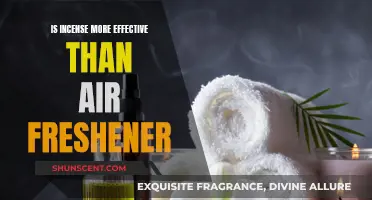 Incense vs Air Fresheners: Which Scents Last Longer?