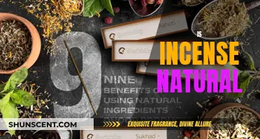 Incense Ingredients: Exploring the Natural and the Artificial