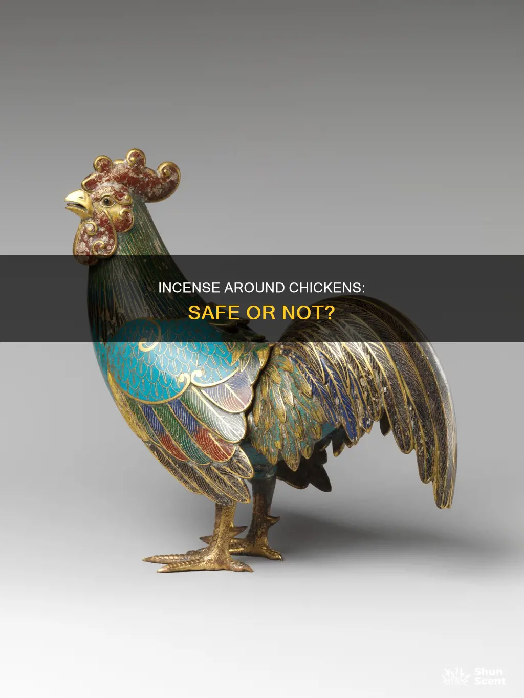 is incense okay for chickens