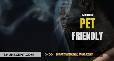 Incense and Pets: A Safe Combination?
