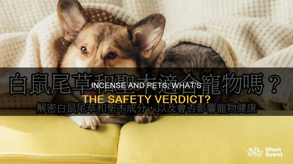 is incense safe for animals