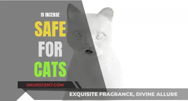 Incense and Cats: A Safe Combination?