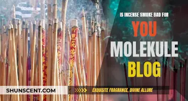 Incense: Is the Fragrant Smoke Harmful to Your Health?