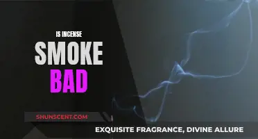 Incense Smoke: Is It Bad for Your Health?