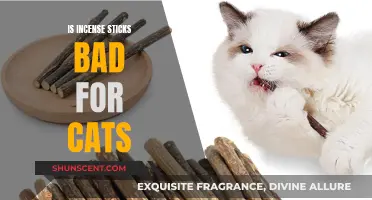 Incense Sticks: Are They Safe for Cats?