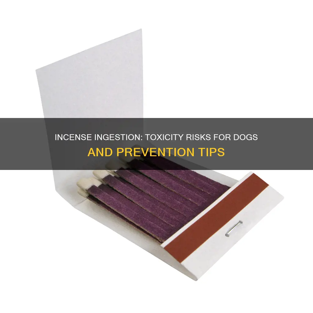 is incense toxic to dogs if aten