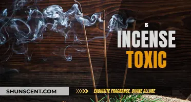 Incense Toxicity: What You Need to Know