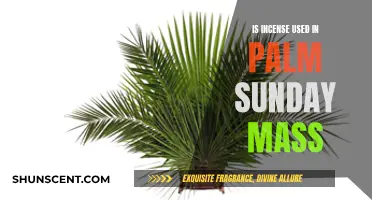 Incense Usage During Palm Sunday Mass Explained