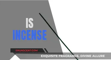Incense: Ancient Aromas for Modern Mindfulness