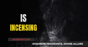 Incensing: A Soothing Practice or a Health Hazard?