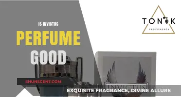 Invictus Perfume: Is It Worth the Hype?