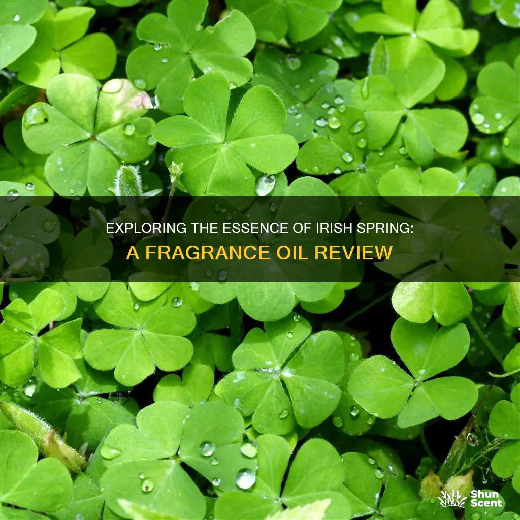 is irish spring fragrance oil