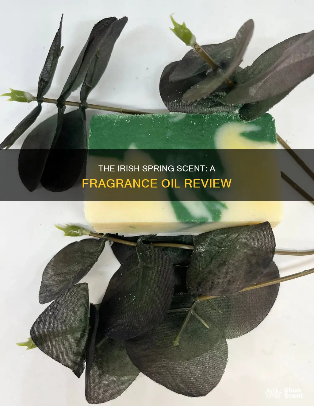 is irish spring fragrance oil