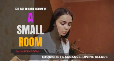 Incense Burning in Small Spaces: Is It Safe?