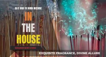 Burning Incense at Home: Healthy Habit or Hazard?