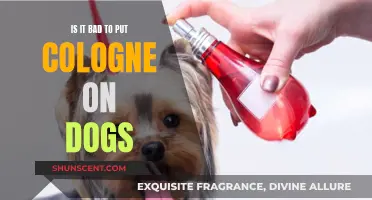 Colognes and Canines: A Safe Mix?