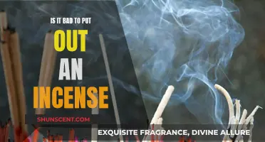 Incense: Harmful Home Comfort or Healthy Habit?