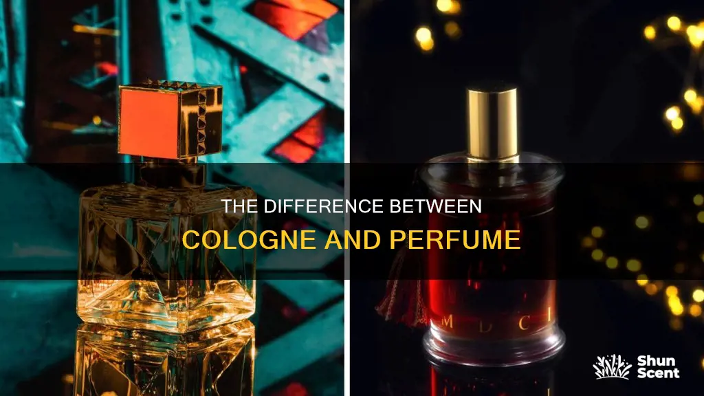 is it cologne or perfume