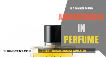 The Ancient Scent of Ambergris in Modern Perfumes