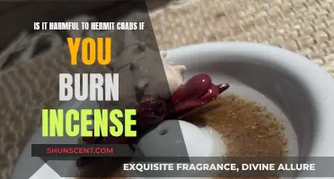 Burning Incense: A Danger to Hermit Crabs?