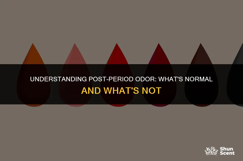 is it normal to get an odor after your period