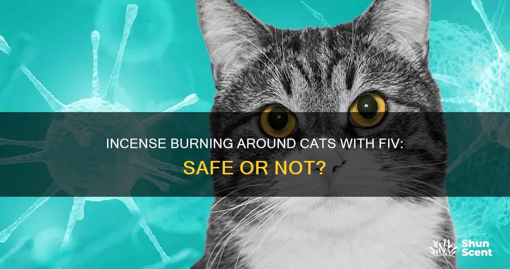 is it ok to burn incense around cats with fiv
