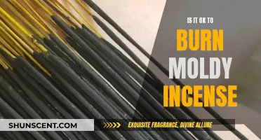 Burning Moldy Incense: Is It Safe or Toxic?
