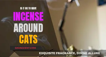 Incense and Cats: A Safe Combination?