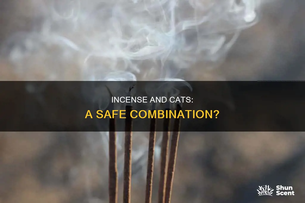 is it ok to have incense around cats