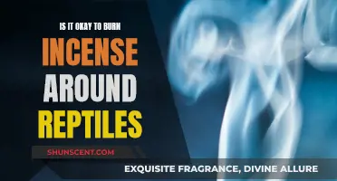 Incense and Reptiles: Safe or Toxic?