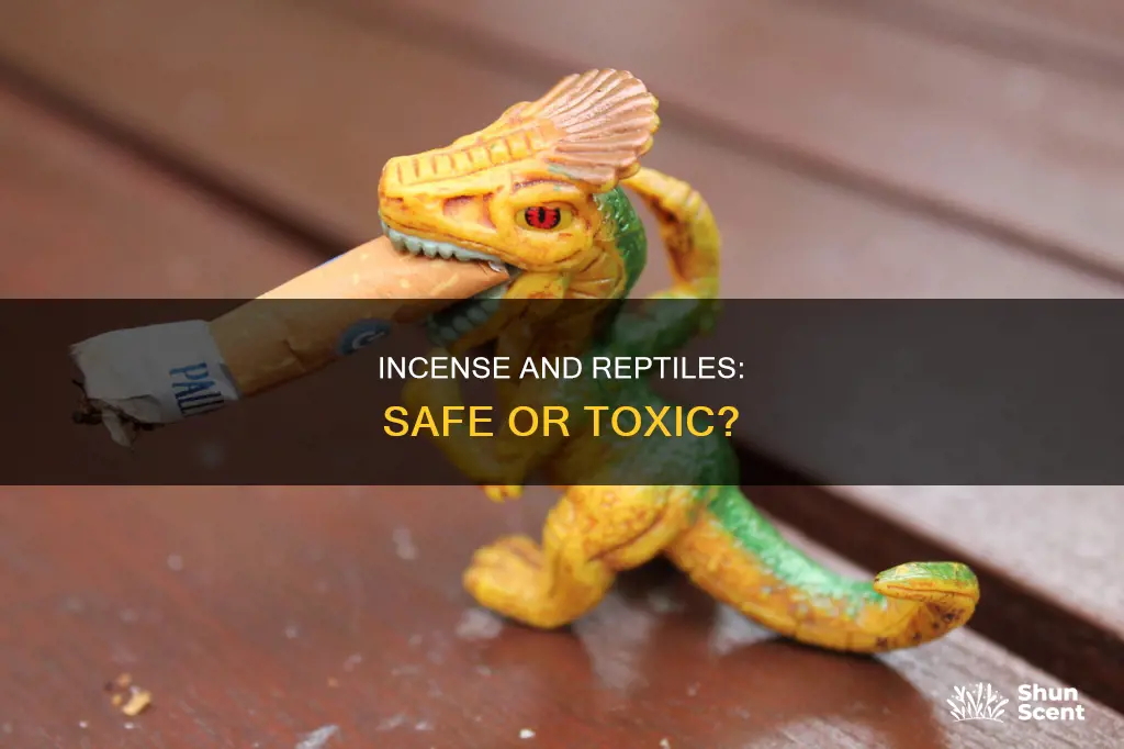 is it okay to burn incense around reptiles