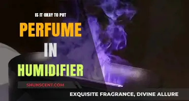 Perfume in a Humidifier: Safe or Not?