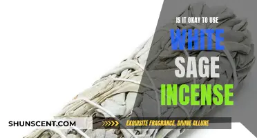 White Sage Incense: Cultural Appropriation or Appreciation?