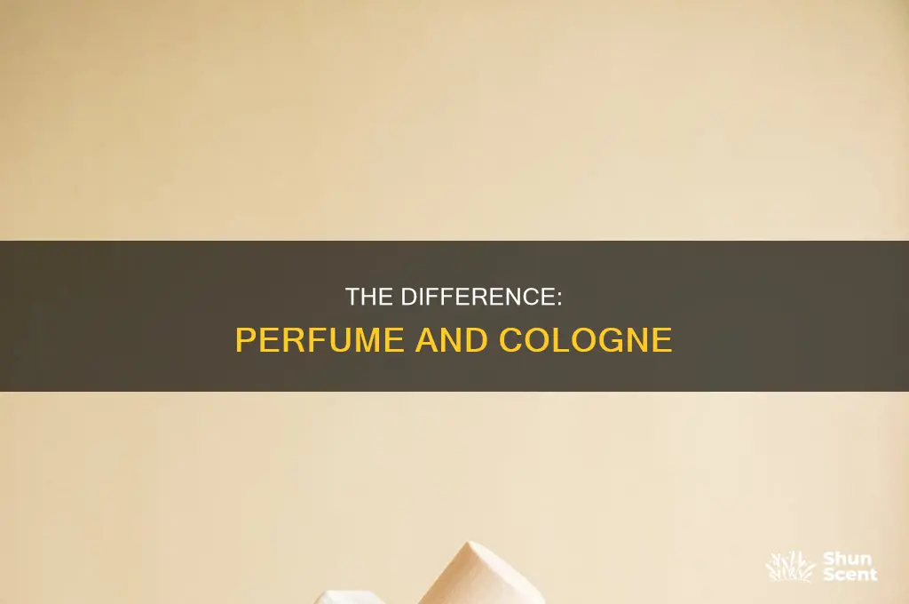 is it perfume or cologne