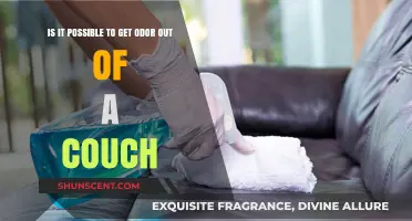 Freshening Up Your Space: Removing Odors from Your Couch