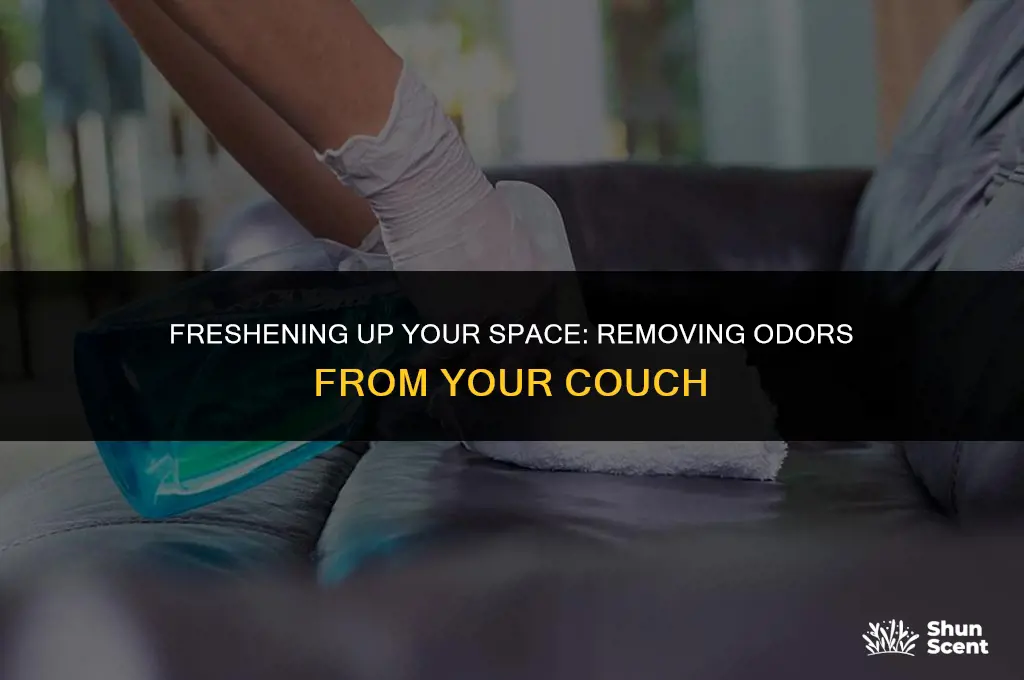 is it possible to get odor out of a couch
