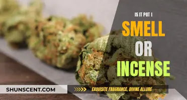 Pot or Incense? Scents and Sensibility