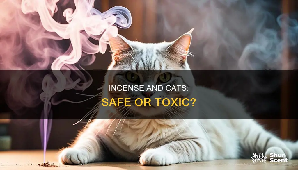 is it safe for cats to breath incense
