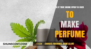 The Secret Ingredient in Your Perfume: Skunk Spray