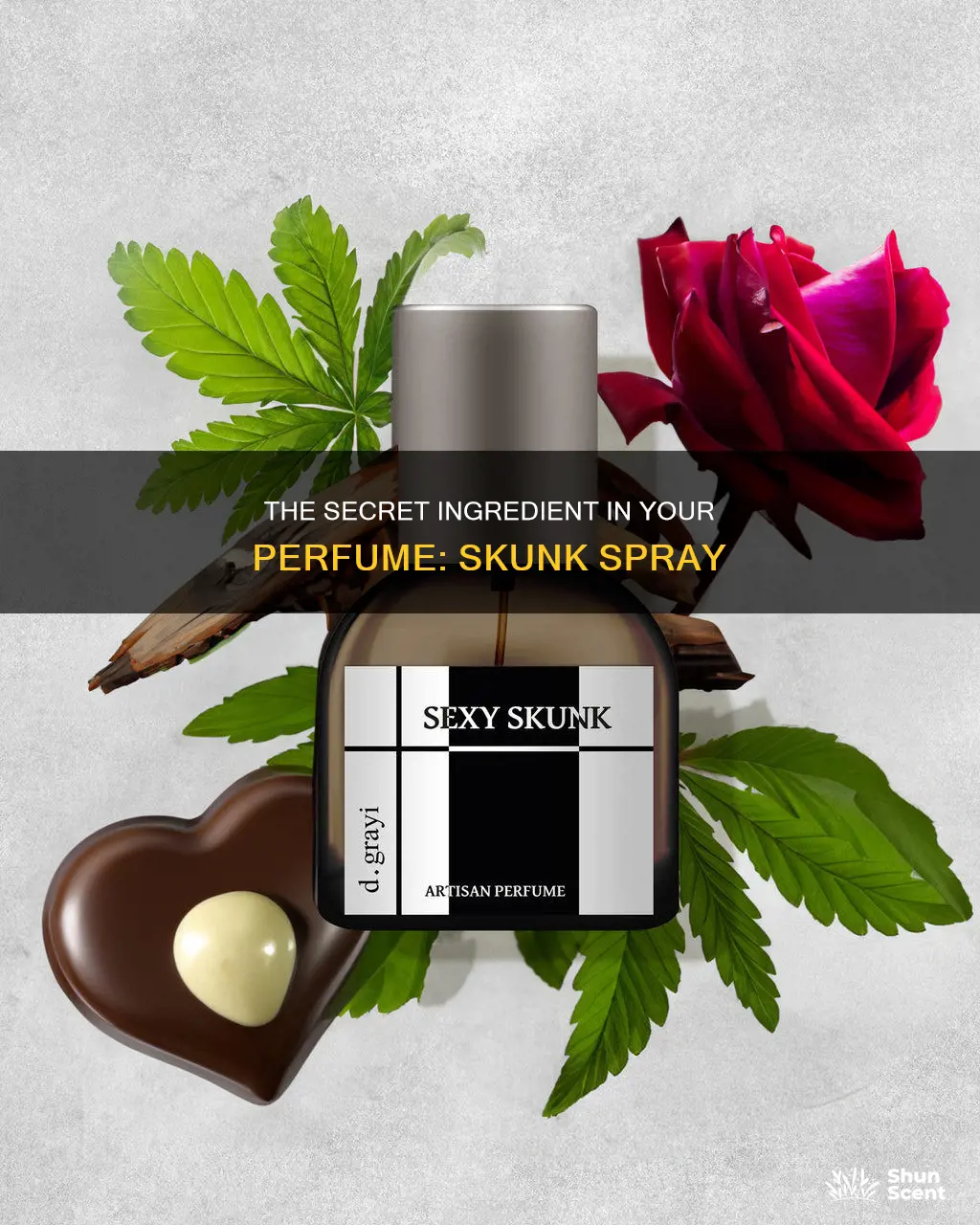 is it true skunk spray is used to make perfume