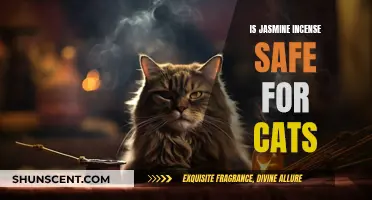 Incense and Cats: Is Jasmine Safe?