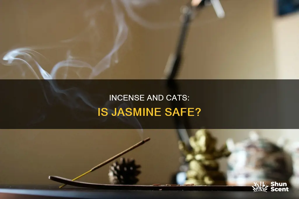 is jasmine incense safe for cats