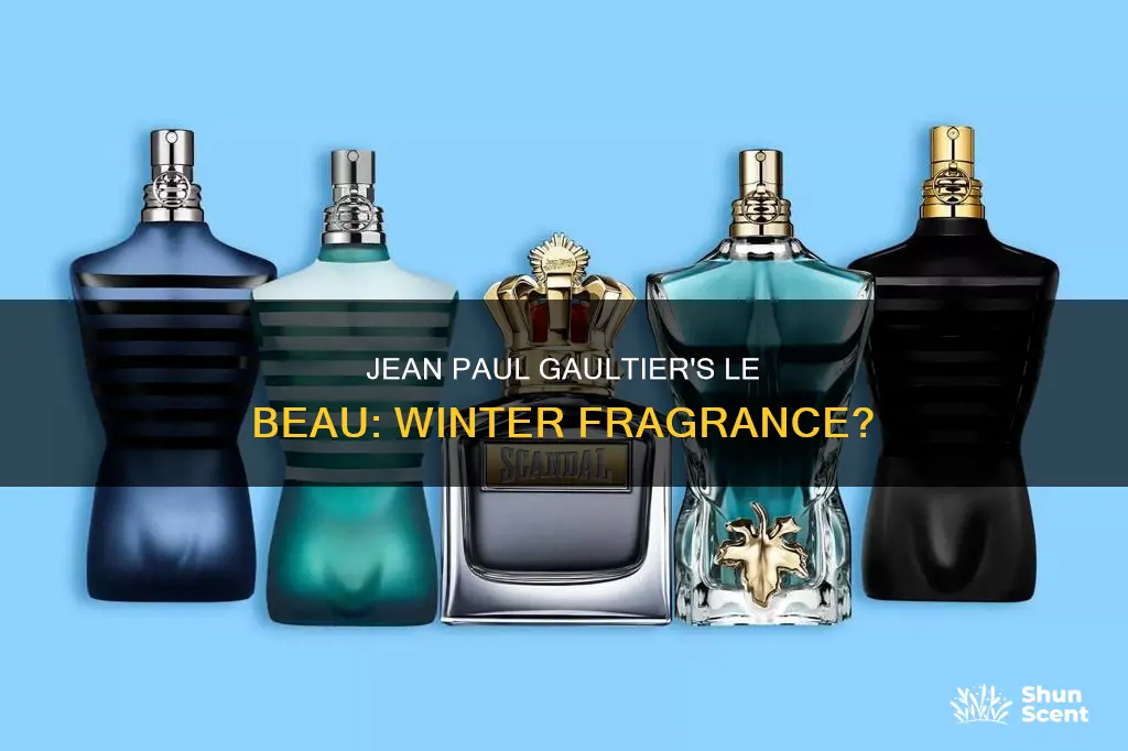 is jean paul gaultier le beau a winter fragrance