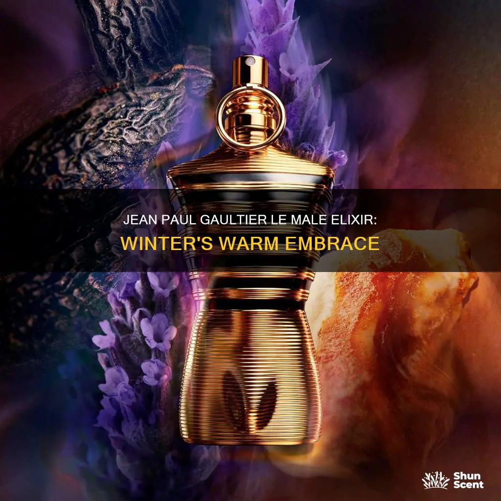 is jean paul gaultier le male elixir a winter fragrance